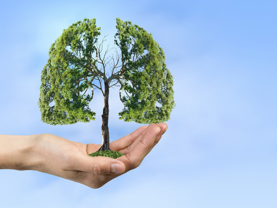 野末内科/呼吸器